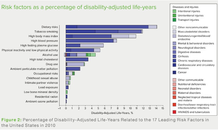 Risk factors as a percentage of disability-adjusted life-years.