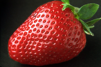 Fresh Red Strawberry